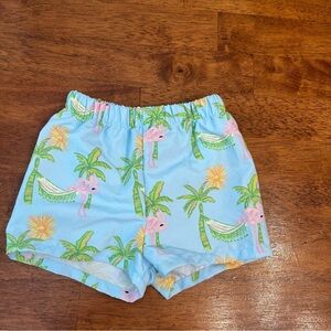 Bailey Boys blue green flamingo Tropical Print Kids swim trunks Shorts size 12 m